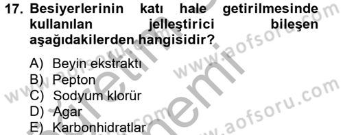 Temel Veteriner Mikrobiyoloji ve İmmünoloji Dersi 2012 - 2013 Yılı (Vize) Ara Sınav Soruları 17. Soru