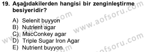 Temel Veteriner Mikrobiyoloji ve İmmünoloji Dersi 2012 - 2013 Yılı (Vize) Ara Sınav Soruları 19. Soru