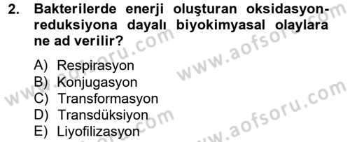 Temel Veteriner Mikrobiyoloji ve İmmünoloji Dersi 2012 - 2013 Yılı (Vize) Ara Sınav Soruları 2. Soru