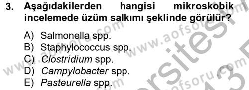 Temel Veteriner Mikrobiyoloji ve İmmünoloji Dersi 2012 - 2013 Yılı (Vize) Ara Sınav Soruları 3. Soru