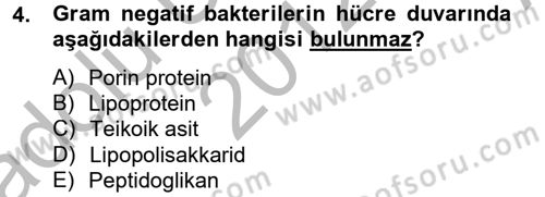 Temel Veteriner Mikrobiyoloji ve İmmünoloji Dersi 2012 - 2013 Yılı (Vize) Ara Sınav Soruları 4. Soru