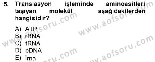 Temel Veteriner Mikrobiyoloji ve İmmünoloji Dersi 2012 - 2013 Yılı (Vize) Ara Sınav Soruları 5. Soru