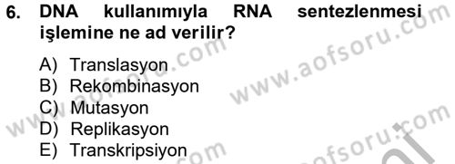 Temel Veteriner Mikrobiyoloji ve İmmünoloji Dersi 2012 - 2013 Yılı (Vize) Ara Sınav Soruları 6. Soru