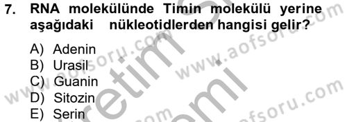 Temel Veteriner Mikrobiyoloji ve İmmünoloji Dersi 2012 - 2013 Yılı (Vize) Ara Sınav Soruları 7. Soru