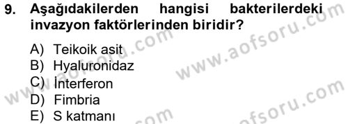 Temel Veteriner Mikrobiyoloji ve İmmünoloji Dersi 2012 - 2013 Yılı (Vize) Ara Sınav Soruları 9. Soru