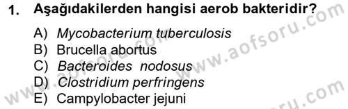Temel Veteriner Mikrobiyoloji ve İmmünoloji Dersi 2012 - 2013 Yılı (Final) Dönem Sonu Sınav Soruları 1. Soru