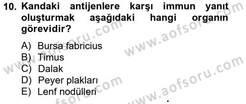 Temel Veteriner Mikrobiyoloji ve İmmünoloji Dersi 2012 - 2013 Yılı (Final) Dönem Sonu Sınav Soruları 10. Soru