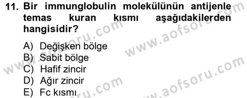 Temel Veteriner Mikrobiyoloji ve İmmünoloji Dersi 2012 - 2013 Yılı (Final) Dönem Sonu Sınavı 11. Soru