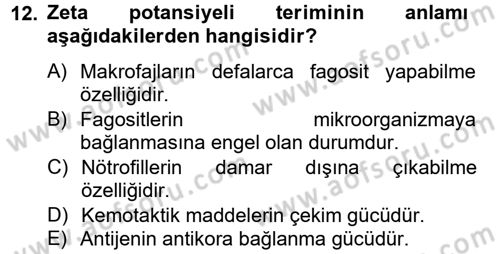 Temel Veteriner Mikrobiyoloji ve İmmünoloji Dersi 2012 - 2013 Yılı (Final) Dönem Sonu Sınav Soruları 12. Soru
