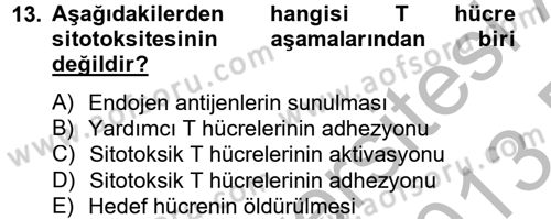 Temel Veteriner Mikrobiyoloji ve İmmünoloji Dersi 2012 - 2013 Yılı (Final) Dönem Sonu Sınav Soruları 13. Soru