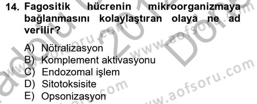 Temel Veteriner Mikrobiyoloji ve İmmünoloji Dersi 2012 - 2013 Yılı (Final) Dönem Sonu Sınav Soruları 14. Soru