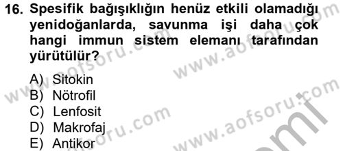 Temel Veteriner Mikrobiyoloji ve İmmünoloji Dersi 2012 - 2013 Yılı (Final) Dönem Sonu Sınav Soruları 16. Soru