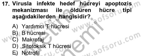 Temel Veteriner Mikrobiyoloji ve İmmünoloji Dersi 2012 - 2013 Yılı (Final) Dönem Sonu Sınav Soruları 17. Soru