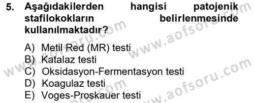 Temel Veteriner Mikrobiyoloji ve İmmünoloji Dersi 2012 - 2013 Yılı (Final) Dönem Sonu Sınav Soruları 5. Soru