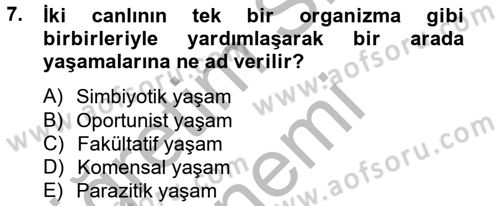 Temel Veteriner Mikrobiyoloji ve İmmünoloji Dersi 2012 - 2013 Yılı (Final) Dönem Sonu Sınav Soruları 7. Soru