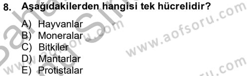 Temel Veteriner Mikrobiyoloji ve İmmünoloji Dersi 2012 - 2013 Yılı (Final) Dönem Sonu Sınav Soruları 8. Soru