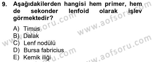 Temel Veteriner Mikrobiyoloji ve İmmünoloji Dersi 2012 - 2013 Yılı (Final) Dönem Sonu Sınav Soruları 9. Soru