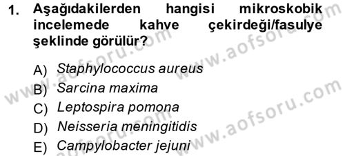 Temel Veteriner Mikrobiyoloji ve İmmünoloji Dersi 2013 - 2014 Yılı (Vize) Ara Sınav Soruları 1. Soru