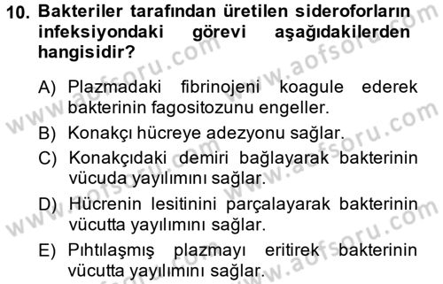 Temel Veteriner Mikrobiyoloji ve İmmünoloji Dersi 2013 - 2014 Yılı (Vize) Ara Sınav Soruları 10. Soru