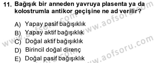 Temel Veteriner Mikrobiyoloji ve İmmünoloji Dersi 2013 - 2014 Yılı (Vize) Ara Sınav Soruları 11. Soru