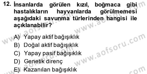 Temel Veteriner Mikrobiyoloji ve İmmünoloji Dersi 2013 - 2014 Yılı (Vize) Ara Sınavı 12. Soru