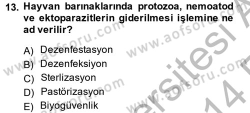 Temel Veteriner Mikrobiyoloji ve İmmünoloji Dersi 2013 - 2014 Yılı (Vize) Ara Sınav Soruları 13. Soru