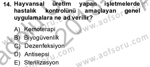 Temel Veteriner Mikrobiyoloji ve İmmünoloji Dersi 2013 - 2014 Yılı (Vize) Ara Sınav Soruları 14. Soru