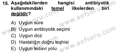 Temel Veteriner Mikrobiyoloji ve İmmünoloji Dersi 2013 - 2014 Yılı (Vize) Ara Sınav Soruları 15. Soru