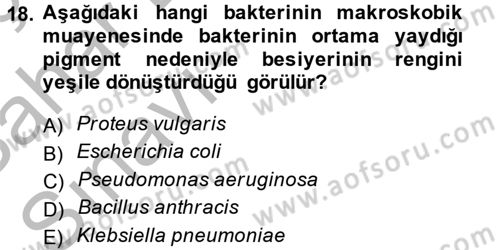 Temel Veteriner Mikrobiyoloji ve İmmünoloji Dersi 2013 - 2014 Yılı (Vize) Ara Sınav Soruları 18. Soru