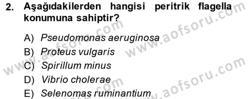 Temel Veteriner Mikrobiyoloji ve İmmünoloji Dersi 2013 - 2014 Yılı (Vize) Ara Sınav Soruları 2. Soru