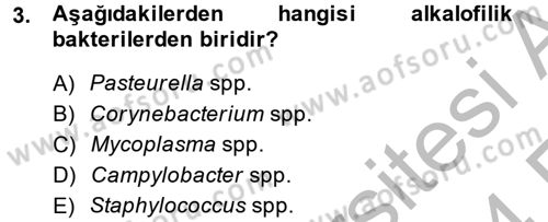 Temel Veteriner Mikrobiyoloji ve İmmünoloji Dersi 2013 - 2014 Yılı (Vize) Ara Sınav Soruları 3. Soru