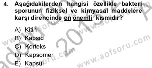 Temel Veteriner Mikrobiyoloji ve İmmünoloji Dersi 2013 - 2014 Yılı (Vize) Ara Sınav Soruları 4. Soru