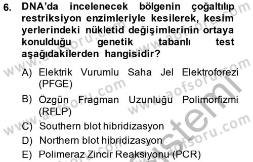 Temel Veteriner Mikrobiyoloji ve İmmünoloji Dersi 2013 - 2014 Yılı (Vize) Ara Sınav Soruları 6. Soru