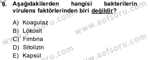 Temel Veteriner Mikrobiyoloji ve İmmünoloji Dersi 2013 - 2014 Yılı (Vize) Ara Sınav Soruları 9. Soru