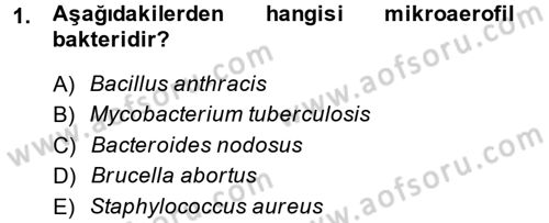 Temel Veteriner Mikrobiyoloji ve İmmünoloji Dersi 2013 - 2014 Yılı (Final) Dönem Sonu Sınav Soruları 1. Soru