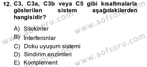 Temel Veteriner Mikrobiyoloji ve İmmünoloji Dersi 2013 - 2014 Yılı (Final) Dönem Sonu Sınav Soruları 12. Soru