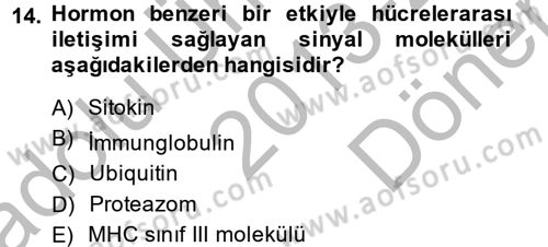 Temel Veteriner Mikrobiyoloji ve İmmünoloji Dersi 2013 - 2014 Yılı (Final) Dönem Sonu Sınav Soruları 14. Soru