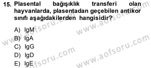 Temel Veteriner Mikrobiyoloji ve İmmünoloji Dersi 2013 - 2014 Yılı (Final) Dönem Sonu Sınav Soruları 15. Soru