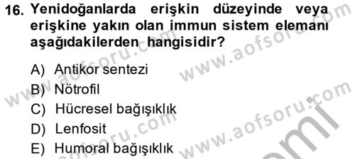 Temel Veteriner Mikrobiyoloji ve İmmünoloji Dersi 2013 - 2014 Yılı (Final) Dönem Sonu Sınav Soruları 16. Soru