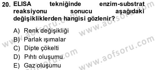 Temel Veteriner Mikrobiyoloji ve İmmünoloji Dersi 2013 - 2014 Yılı (Final) Dönem Sonu Sınav Soruları 20. Soru
