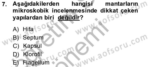 Temel Veteriner Mikrobiyoloji ve İmmünoloji Dersi 2013 - 2014 Yılı (Final) Dönem Sonu Sınav Soruları 7. Soru