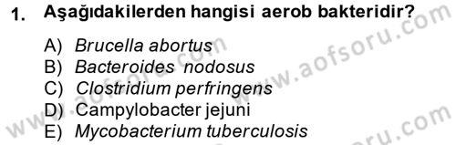 Temel Veteriner Mikrobiyoloji ve İmmünoloji Dersi 2013 - 2014 Yılı Tek Ders Sınav Soruları 1. Soru