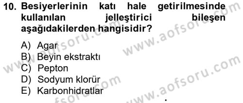 Temel Veteriner Mikrobiyoloji ve İmmünoloji Dersi 2013 - 2014 Yılı Tek Ders Sınav Soruları 10. Soru