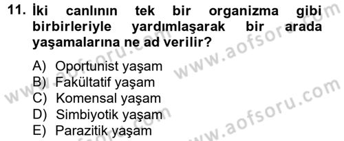 Temel Veteriner Mikrobiyoloji ve İmmünoloji Dersi 2013 - 2014 Yılı Tek Ders Sınav Soruları 11. Soru
