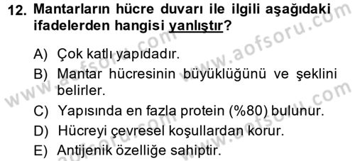 Temel Veteriner Mikrobiyoloji ve İmmünoloji Dersi 2013 - 2014 Yılı Tek Ders Sınav Soruları 12. Soru