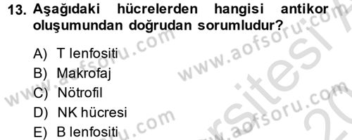 Temel Veteriner Mikrobiyoloji ve İmmünoloji Dersi 2013 - 2014 Yılı Tek Ders Sınav Soruları 13. Soru