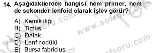 Temel Veteriner Mikrobiyoloji ve İmmünoloji Dersi 2013 - 2014 Yılı Tek Ders Sınav Soruları 14. Soru