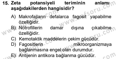 Temel Veteriner Mikrobiyoloji ve İmmünoloji Dersi 2013 - 2014 Yılı Tek Ders Sınav Soruları 15. Soru