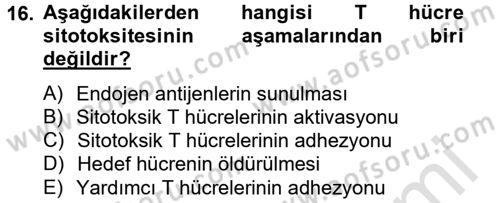 Temel Veteriner Mikrobiyoloji ve İmmünoloji Dersi 2013 - 2014 Yılı Tek Ders Sınav Soruları 16. Soru