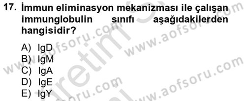 Temel Veteriner Mikrobiyoloji ve İmmünoloji Dersi 2013 - 2014 Yılı Tek Ders Sınav Soruları 17. Soru